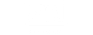 Logo 2N bianco
